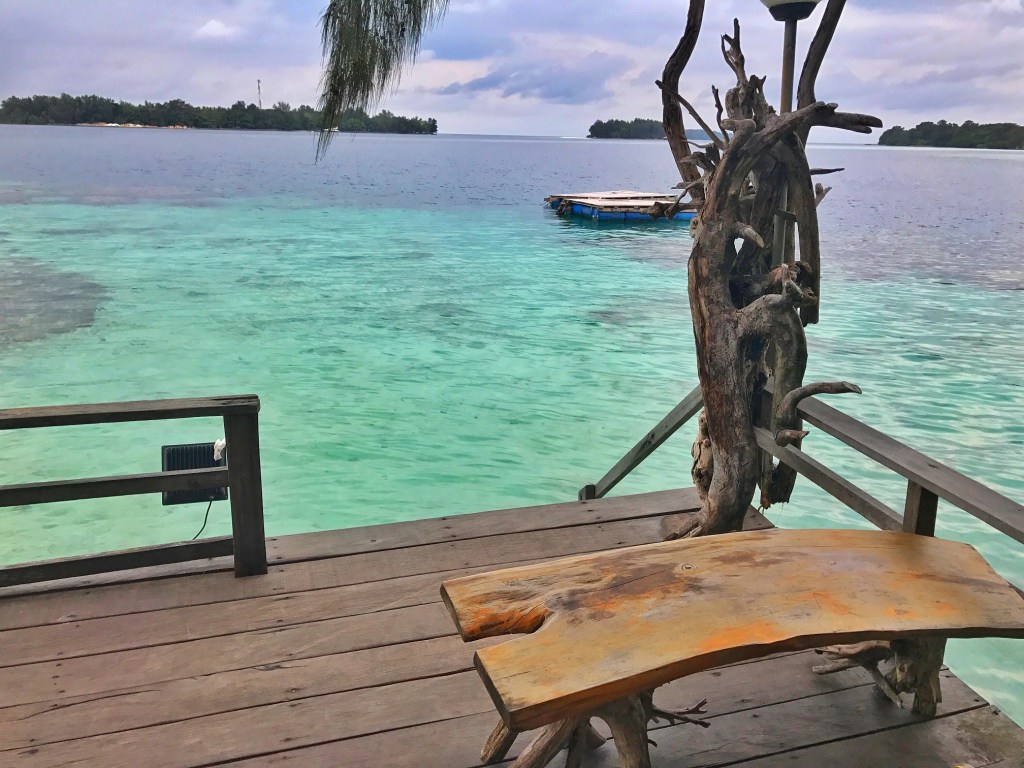 Photo 4-1-17, 9 25 50 pm